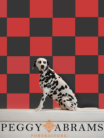 bindi_red_checks