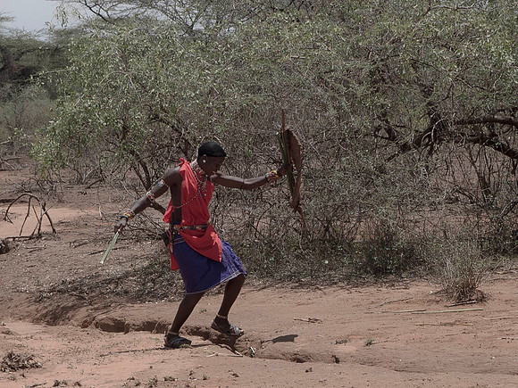 Africa-113