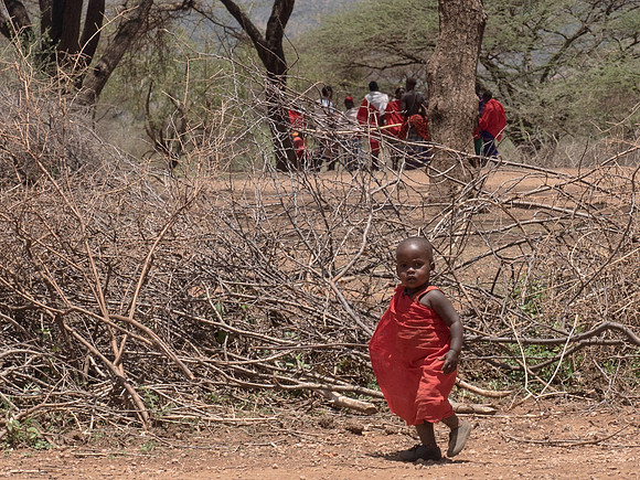Africa-127
