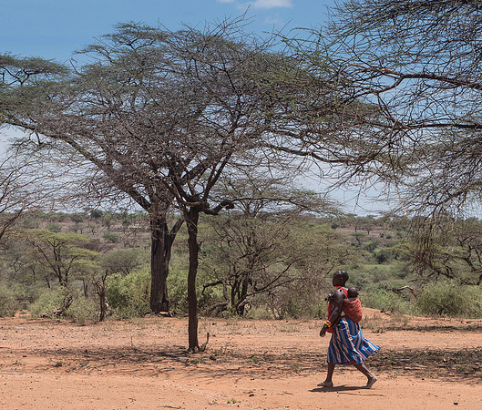 Africa-105
