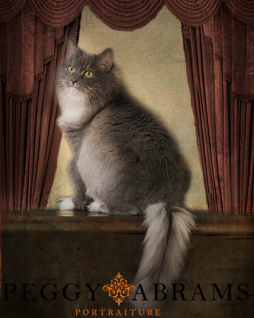 pet_portraited copy