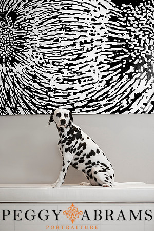 Bindi_bench_1
