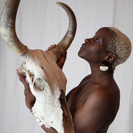 skullandantlers-13