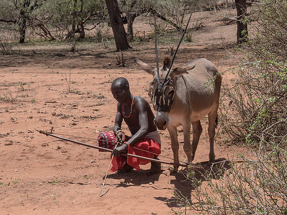 Africa-106