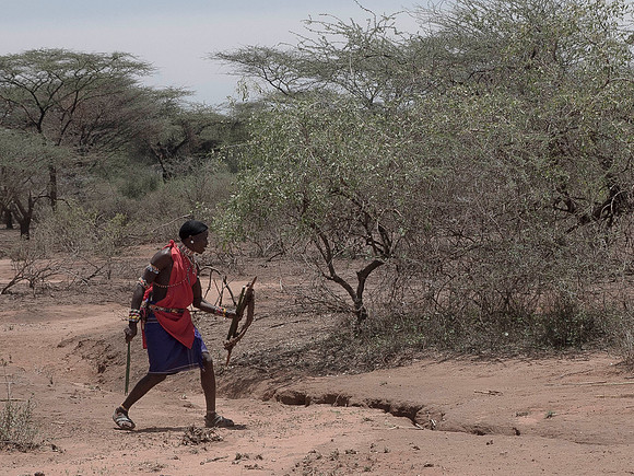 Africa-112