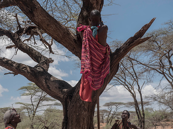Africa-122